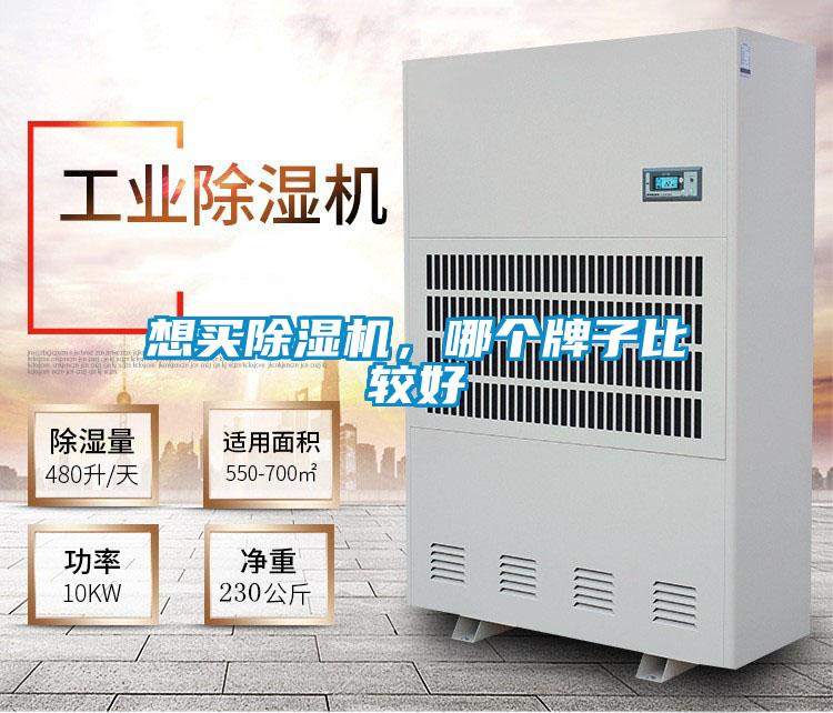 想买茄子视频懂你更多在线观看，哪个牌子比较好