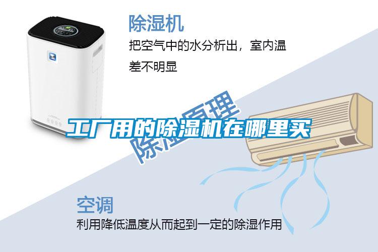 工厂用的茄子视频懂你更多在线观看在哪里买