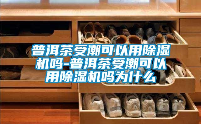普洱茶受潮可以用茄子视频懂你更多在线观看吗-普洱茶受潮可以用茄子视频懂你更多在线观看吗为什么