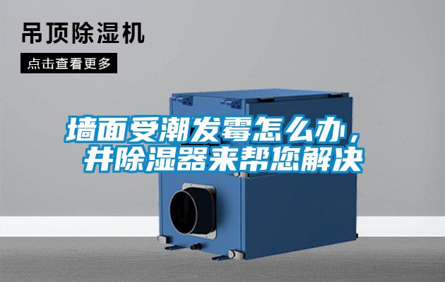 墙面受潮发霉怎么办，東井除湿器来帮您解决