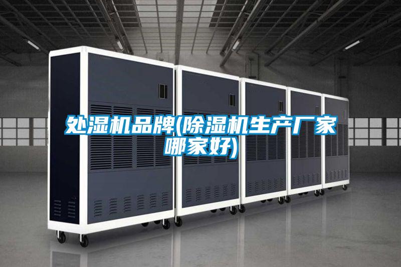 处湿机品牌(茄子视频懂你更多在线观看生产厂家哪家好)