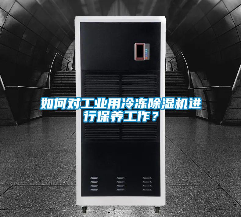 如何对工业用冷冻茄子视频懂你更多在线观看进行保养工作？