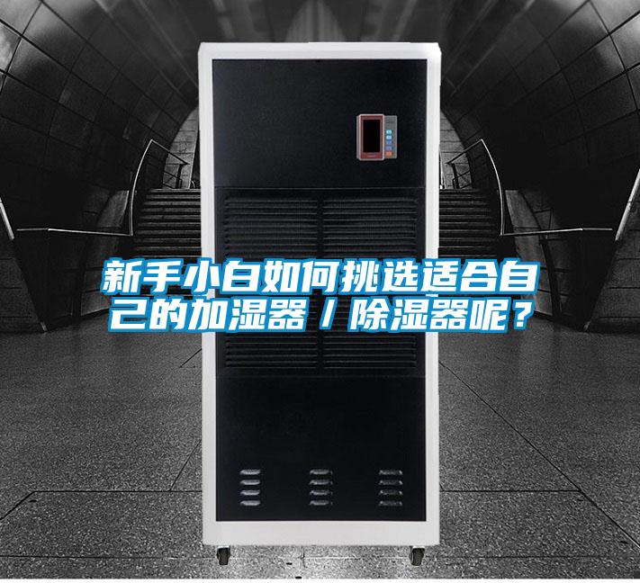 新手小白如何挑选适合自己的加湿器／除湿器呢？
