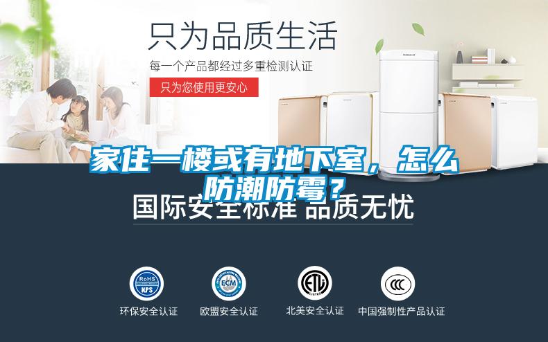 家住一楼或有地下室，怎么防潮防霉？