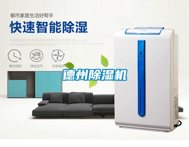 德州茄子视频懂你更多在线观看