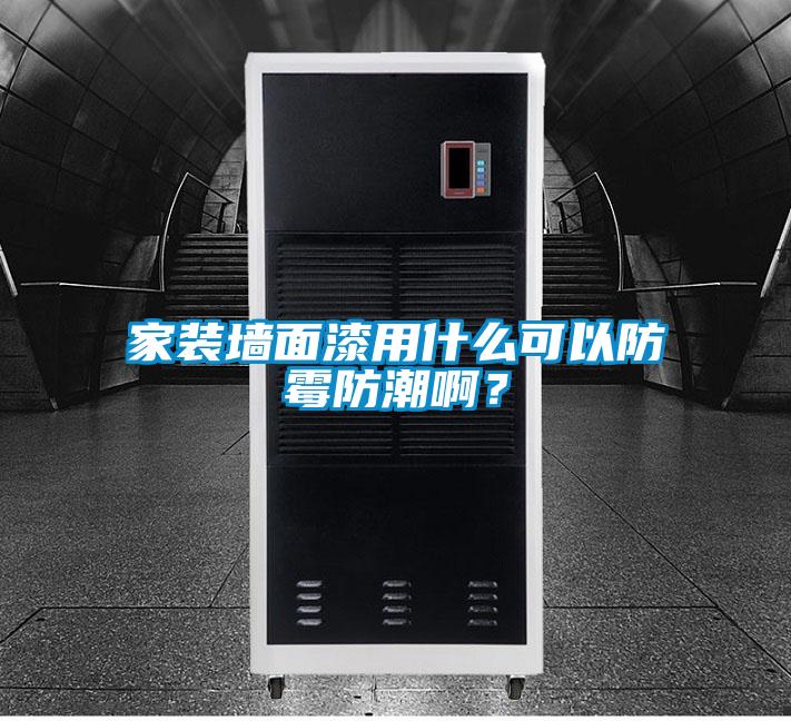 家装墙面漆用什么可以防霉防潮啊？