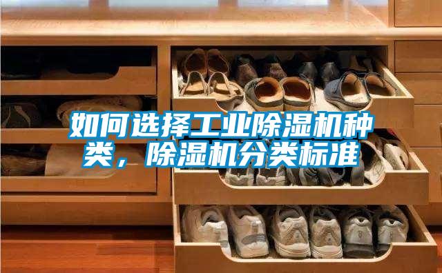 如何选择工业茄子视频懂你更多在线观看种类，茄子视频懂你更多在线观看分类标准