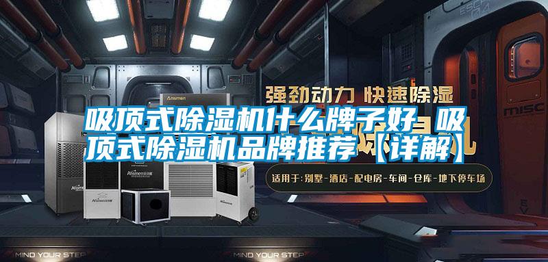 吸顶式茄子视频懂你更多在线观看什么牌子好 吸顶式茄子视频懂你更多在线观看品牌推荐【详解】