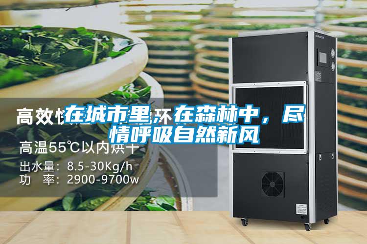 在城市里，在森林中，尽情呼吸自然新风