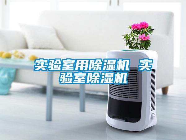 实验室用茄子视频懂你更多在线观看 实验室茄子视频懂你更多在线观看
