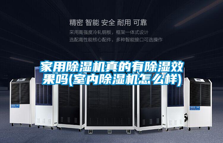 家用茄子视频懂你更多在线观看真的有除湿效果吗(室内茄子视频懂你更多在线观看怎么样)