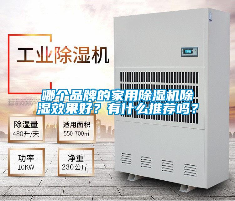 哪个品牌的家用茄子视频懂你更多在线观看除湿效果好？有什么推荐吗？