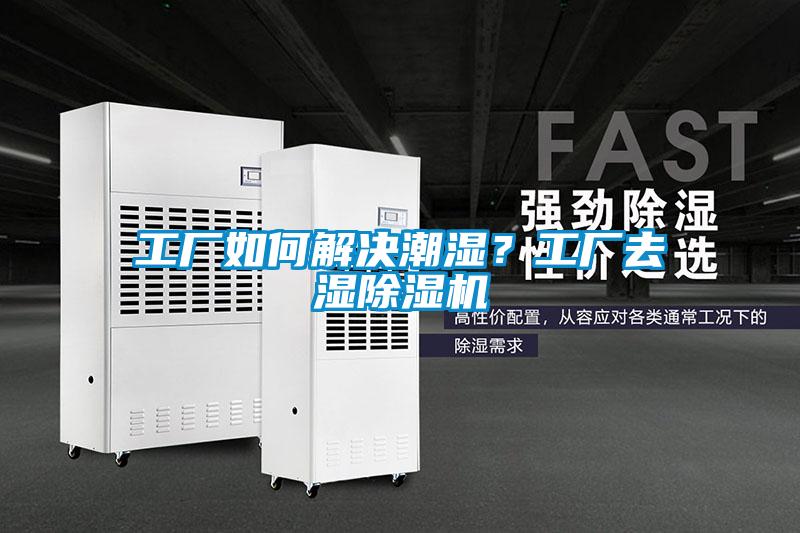 工厂如何解决潮湿？工厂去湿茄子视频懂你更多在线观看