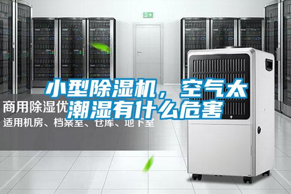 小型茄子视频懂你更多在线观看，空气太潮湿有什么危害