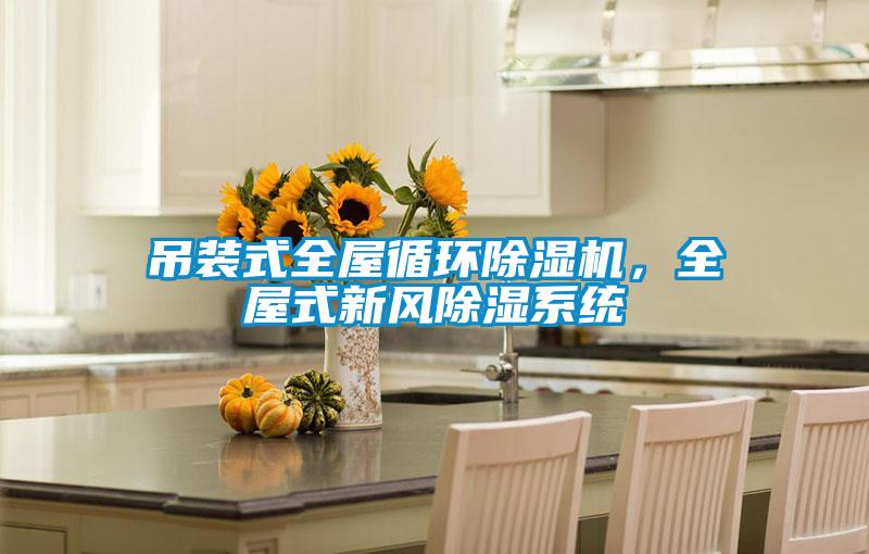 吊装式全屋循环茄子视频懂你更多在线观看，全屋式新风除湿系统