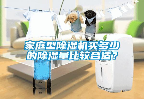 家庭型茄子视频懂你更多在线观看买多少的除湿量比较合适？