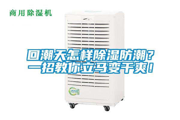 回潮天怎样除湿防潮？一招教你立马变干爽！