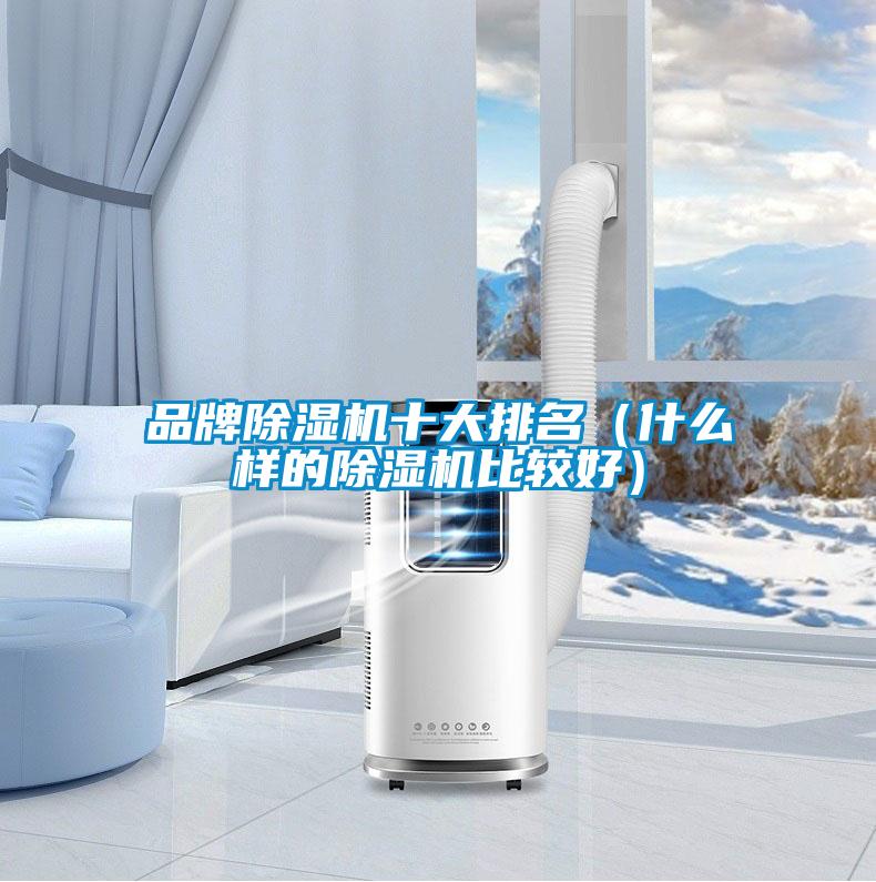 品牌茄子视频懂你更多在线观看十大排名（什么样的茄子视频懂你更多在线观看比较好）