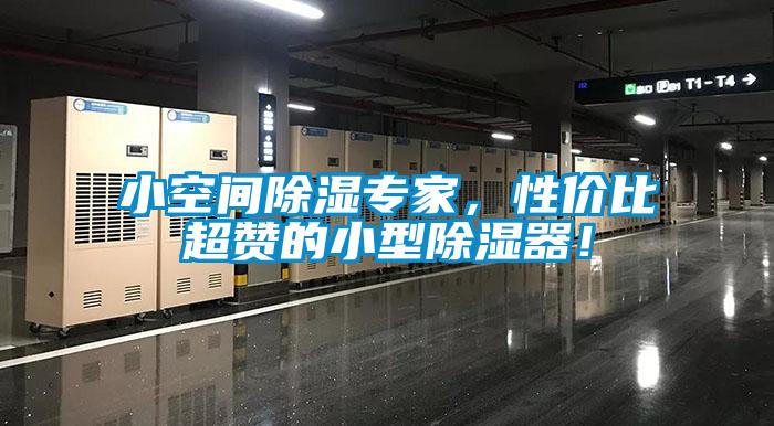 小空间除湿专家，性价比超赞的小型除湿器！