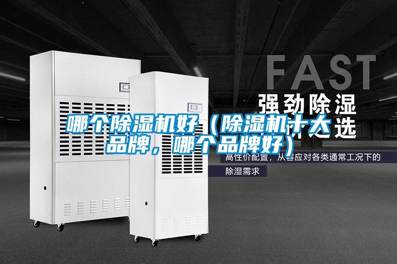 哪个茄子视频懂你更多在线观看好（茄子视频懂你更多在线观看十大品牌，哪个品牌好）