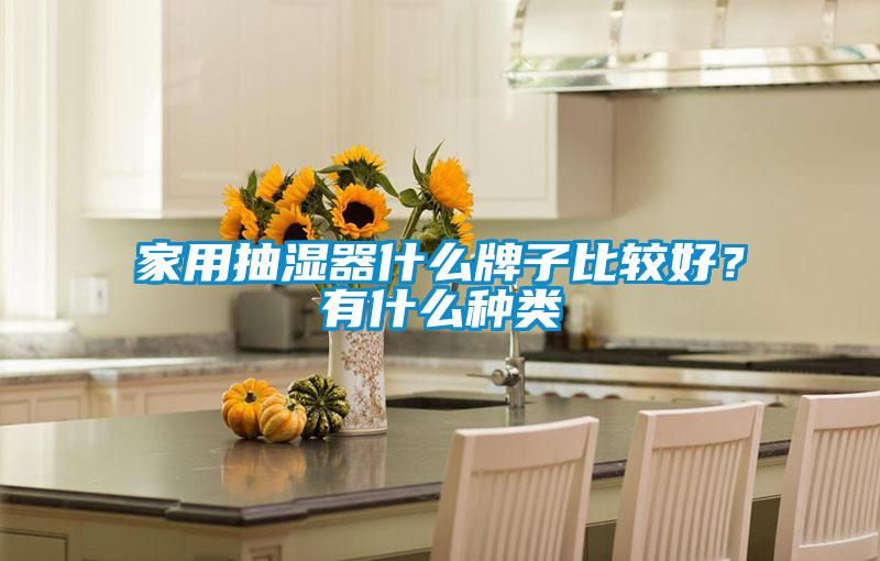 家用抽湿器什么牌子比较好？有什么种类