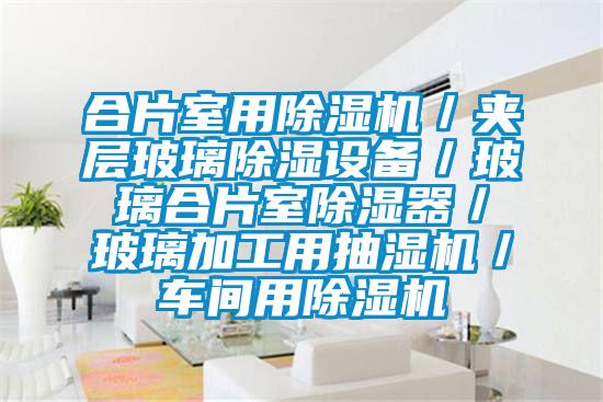 合片室用茄子视频懂你更多在线观看／夹层玻璃除湿设备／玻璃合片室除湿器／玻璃加工用抽湿机／车间用茄子视频懂你更多在线观看