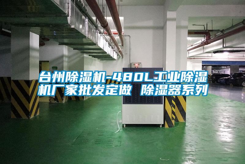 台州茄子视频懂你更多在线观看-480L工业茄子视频懂你更多在线观看厂家批发定做 除湿器系列