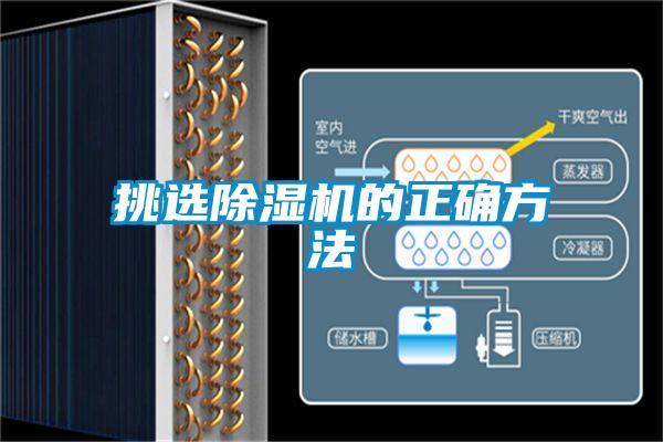 挑选茄子视频懂你更多在线观看的正确方法