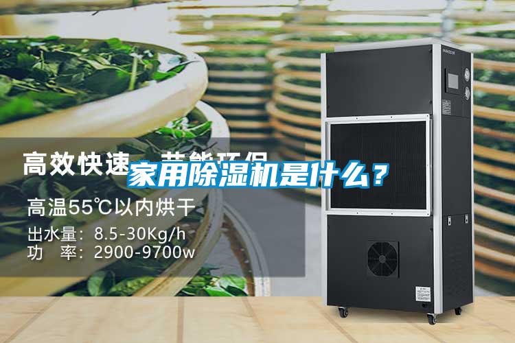 家用茄子视频懂你更多在线观看是什么？