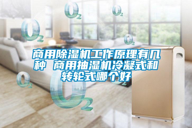 商用茄子视频懂你更多在线观看工作原理有几种 商用抽湿机冷凝式和转轮式哪个好