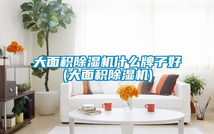 大面积茄子视频懂你更多在线观看什么牌子好(大面积茄子视频懂你更多在线观看)