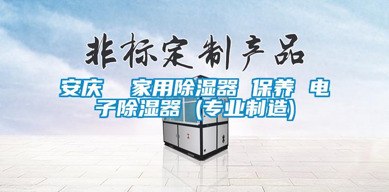 安庆 家用除湿器 保养 电子除湿器 (专业制造)