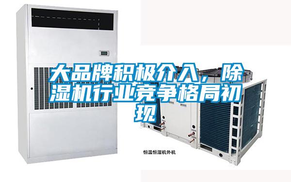 大品牌积极介入，茄子视频懂你更多在线观看行业竞争格局初现