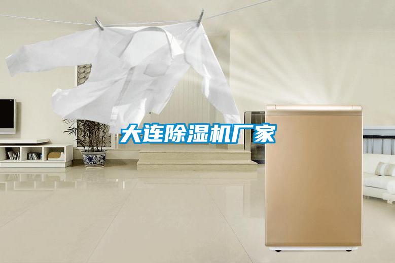 大连茄子视频懂你更多在线观看厂家