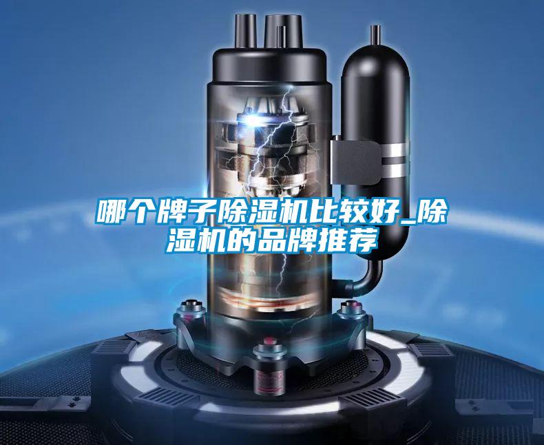 哪个牌子茄子视频懂你更多在线观看比较好_茄子视频懂你更多在线观看的品牌推荐