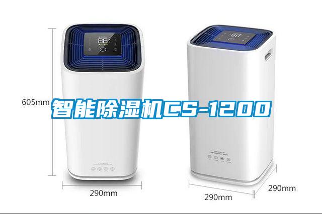 智能茄子视频懂你更多在线观看CS-1200