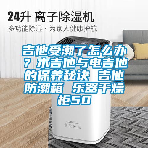 吉他受潮了怎么办？木吉他与电吉他的保养秘诀 吉他防潮箱 乐器干燥柜50