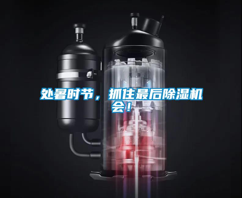 处暑时节，抓住最后茄子视频懂你更多在线观看会！