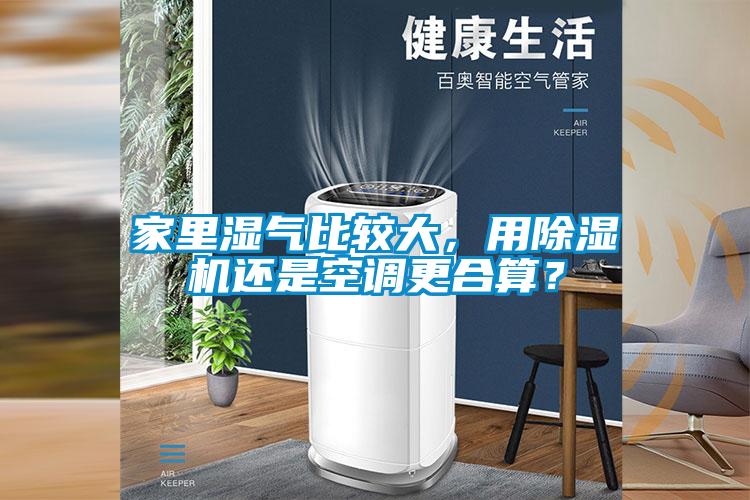 家里湿气比较大，用茄子视频懂你更多在线观看还是空调更合算？