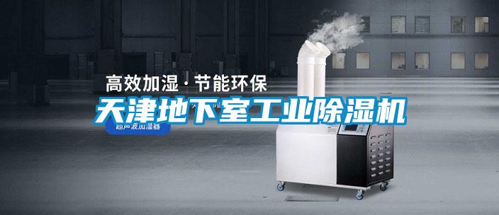 天津地下室工业茄子视频懂你更多在线观看