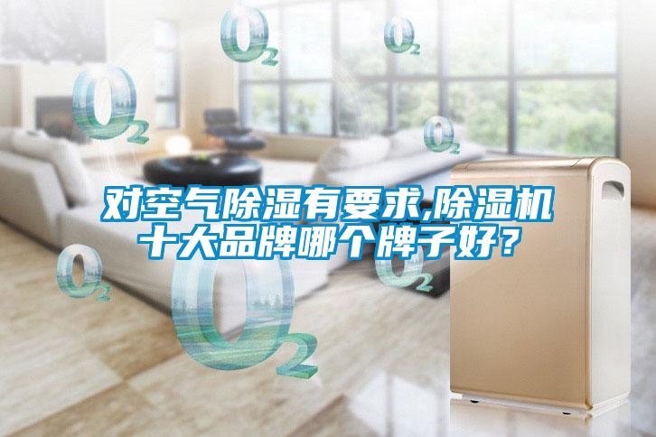 对空气除湿有要求,茄子视频懂你更多在线观看十大品牌哪个牌子好？