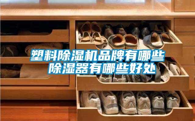 塑料茄子视频懂你更多在线观看品牌有哪些 除湿器有哪些好处