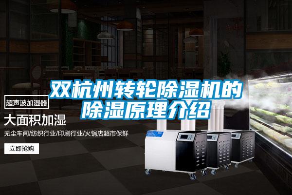 双杭州转轮茄子视频懂你更多在线观看的除湿原理介绍