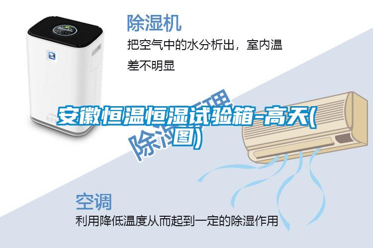 安徽恒温恒湿试验箱-高天(图)