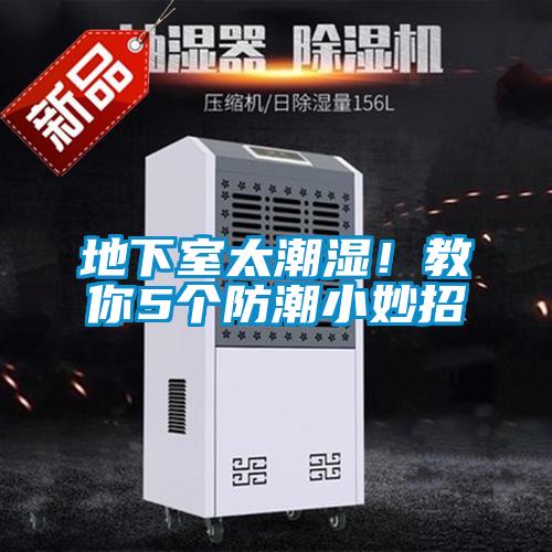 地下室太潮湿！教你5个防潮小妙招