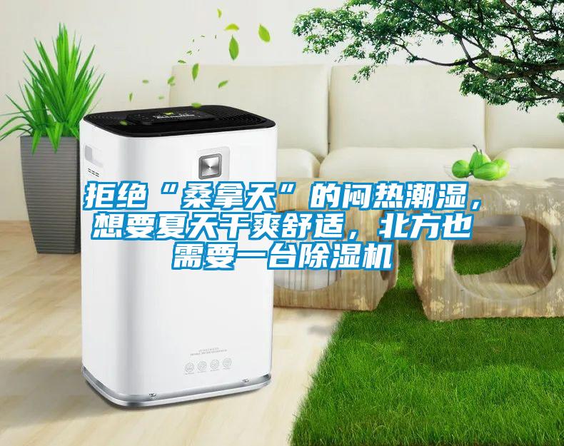 拒绝“桑拿天”的闷热潮湿，想要夏天干爽舒适，北方也需要一台茄子视频懂你更多在线观看