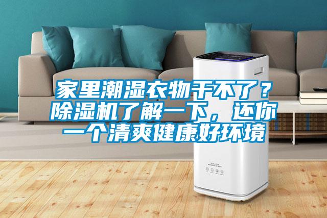 家里潮湿衣物干不了？茄子视频懂你更多在线观看了解一下，还你一个清爽健康好环境