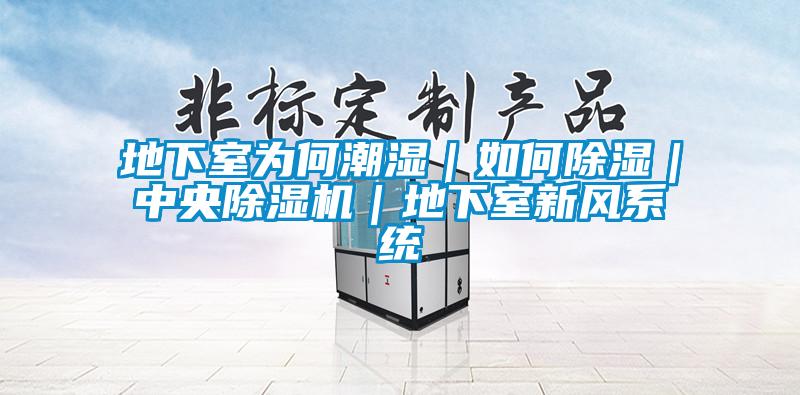 地下室为何潮湿｜如何除湿｜中央茄子视频懂你更多在线观看｜地下室新风系统