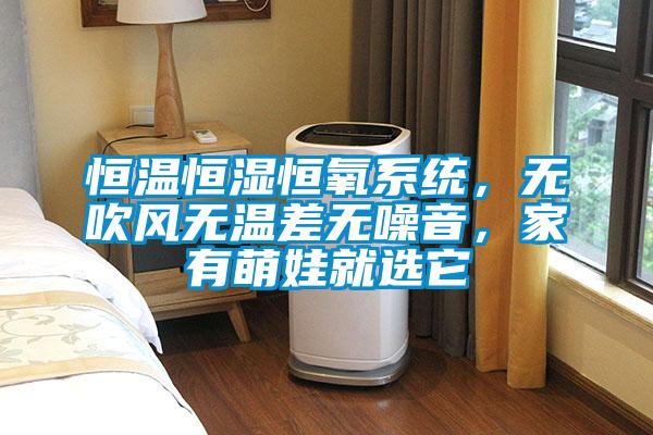 恒温恒湿恒氧系统，无吹风无温差无噪音，家有萌娃就选它