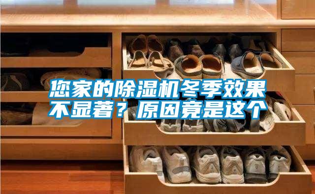 您家的茄子视频懂你更多在线观看冬季效果不显著？原因竟是这个